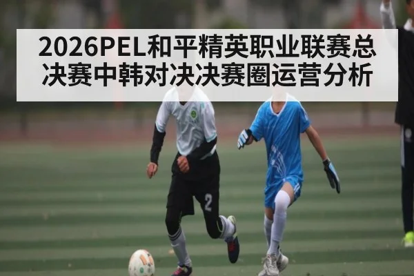 2026PEL和平精英职业联赛总决赛中韩对决决赛圈运营分析
